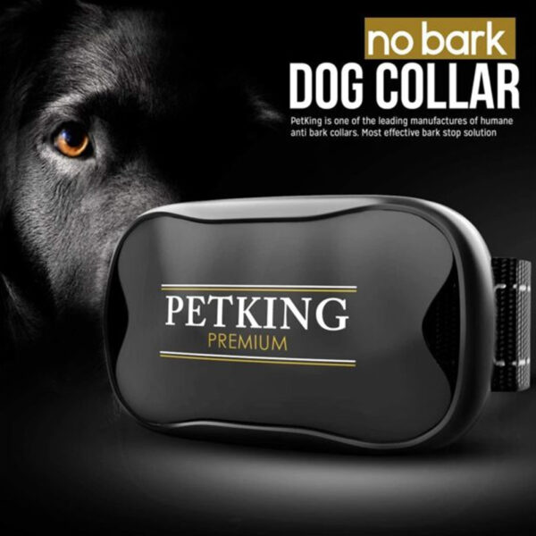 PetKing Premium No Bark Dog Collar